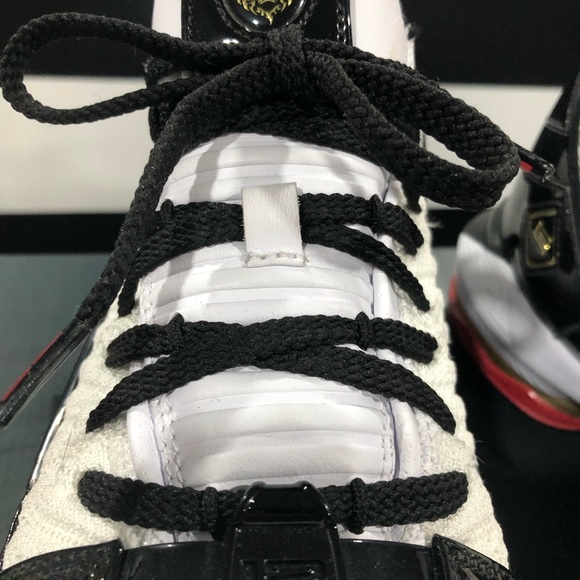 RARE NWT Nike Lebron XBI SB Shoes - Picture 6 of 8